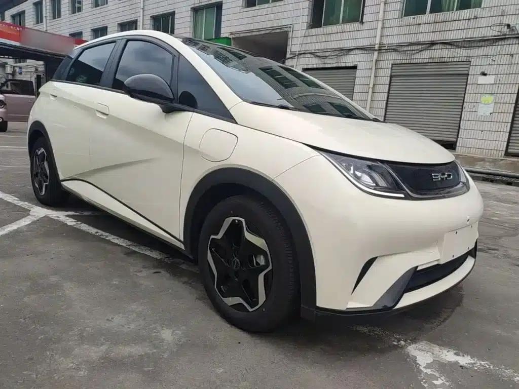 Dolphin 2021 405km Fashion Edition — миниатюра 4