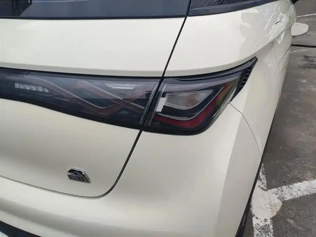 Dolphin 2021 405km Fashion Edition — миниатюра 8
