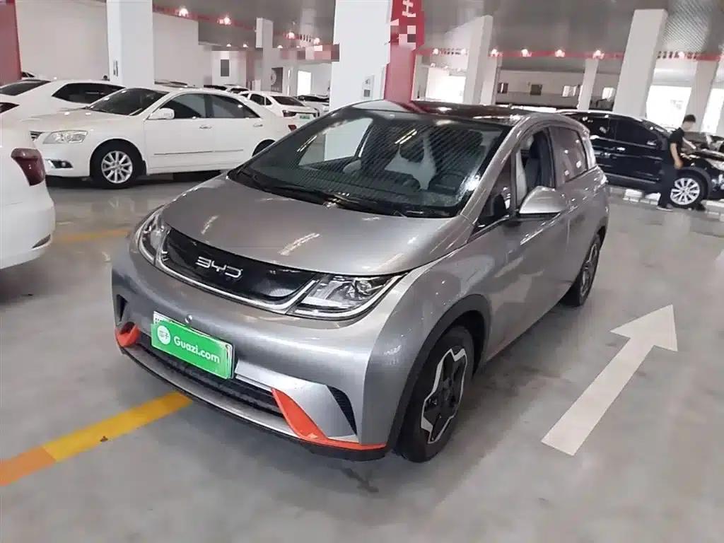 Dolphin 2021 405km Fashion Edition — миниатюра 2