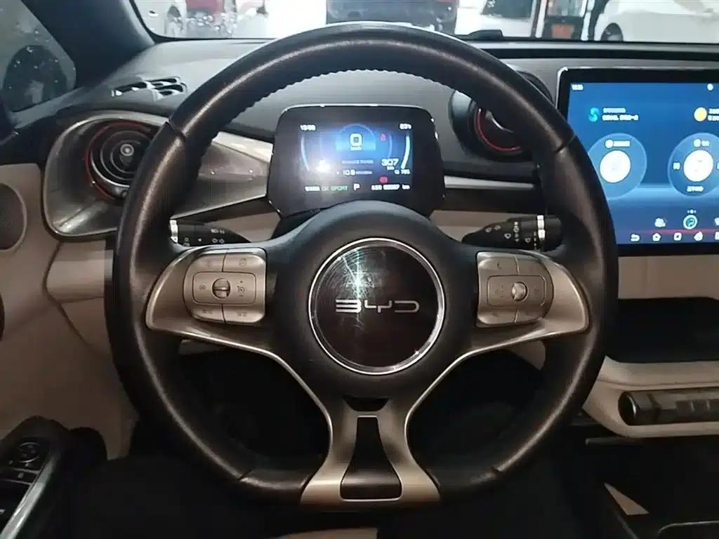 Dolphin 2021 405km Fashion Edition — миниатюра 11