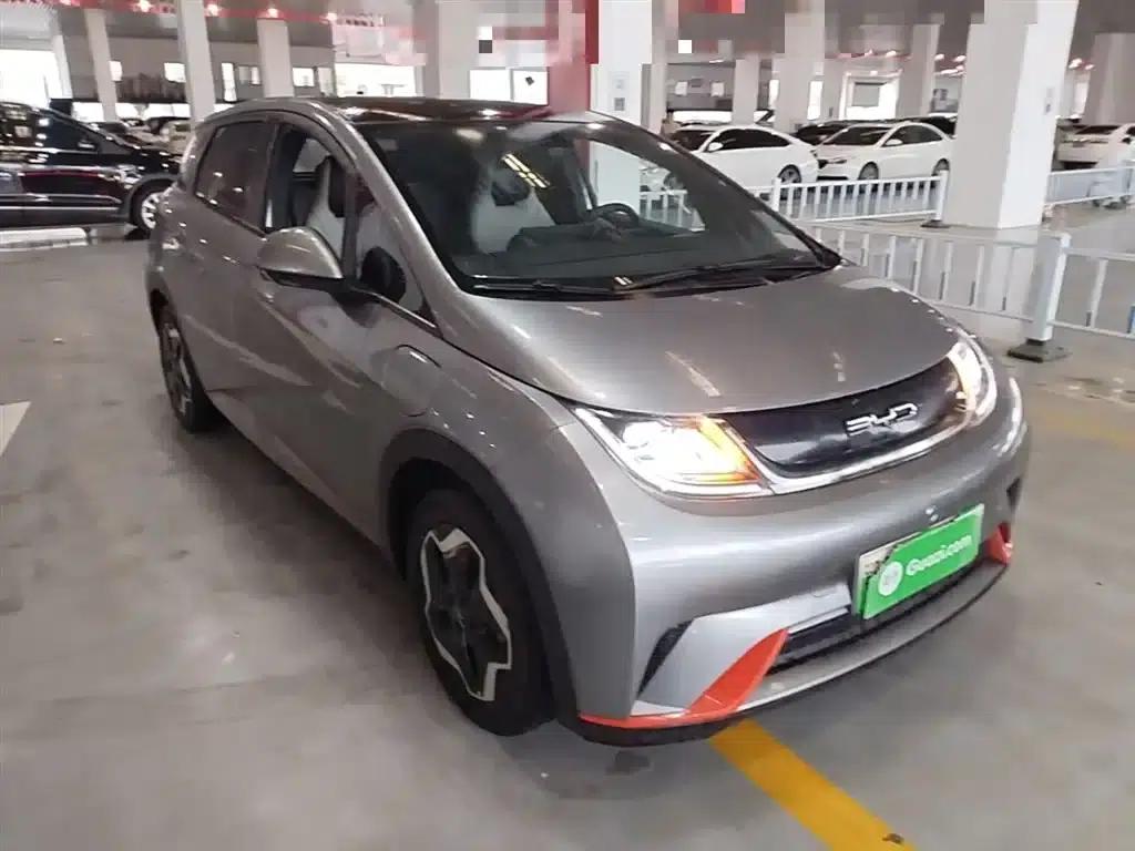 Dolphin 2021 405km Fashion Edition — миниатюра 4