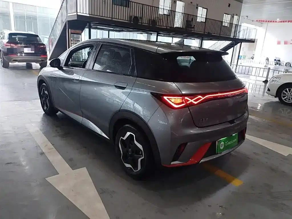 Dolphin 2021 405km Fashion Edition — миниатюра 5