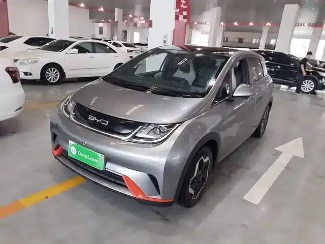 Dolphin 2021 405km Fashion Edition