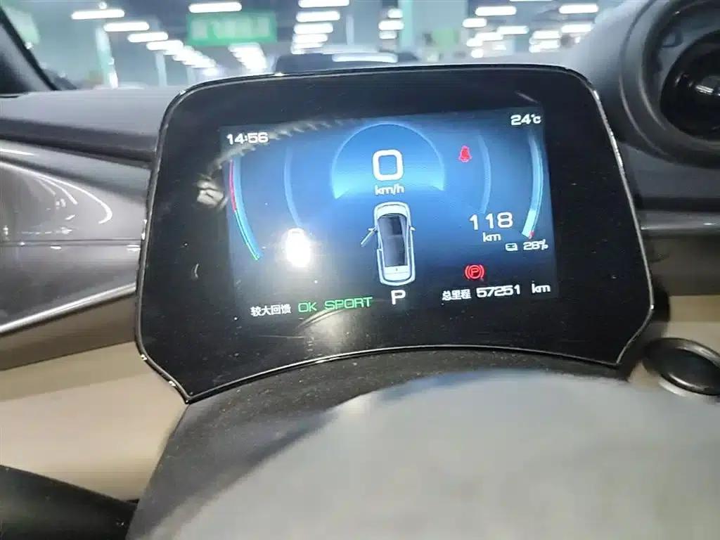 Dolphin 2023 420km Fashion Edition — миниатюра 12