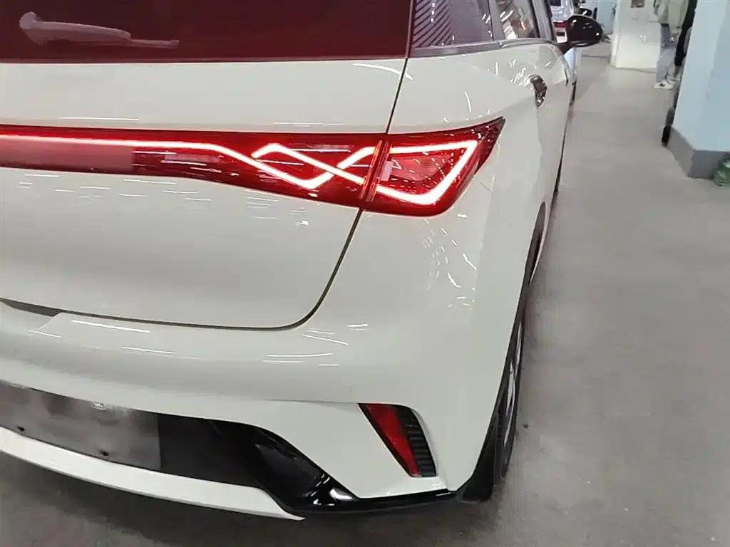 Dolphin 2023 420km Fashion Edition — миниатюра 8