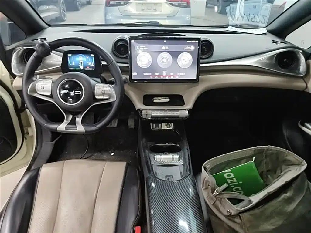 Dolphin 2023 420km Fashion Edition — миниатюра 10