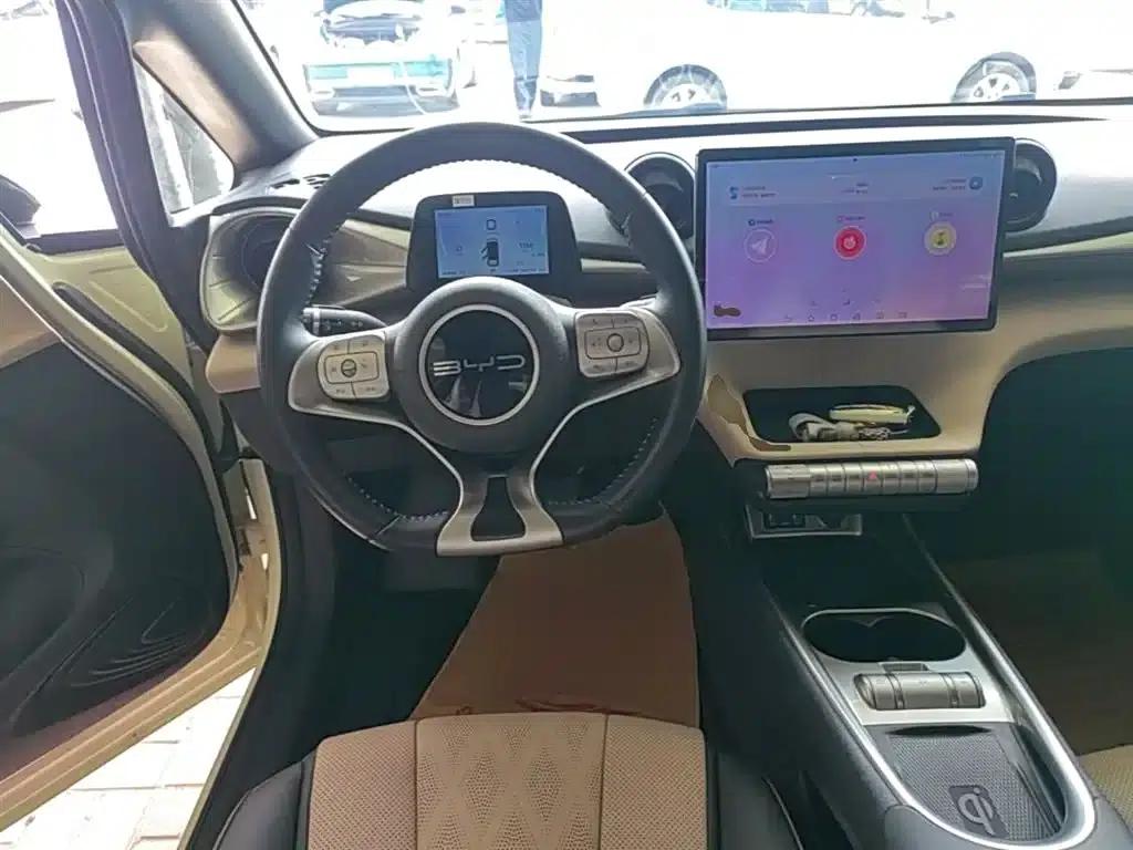 Dolphin 2023 420km Fashion Edition — миниатюра 11