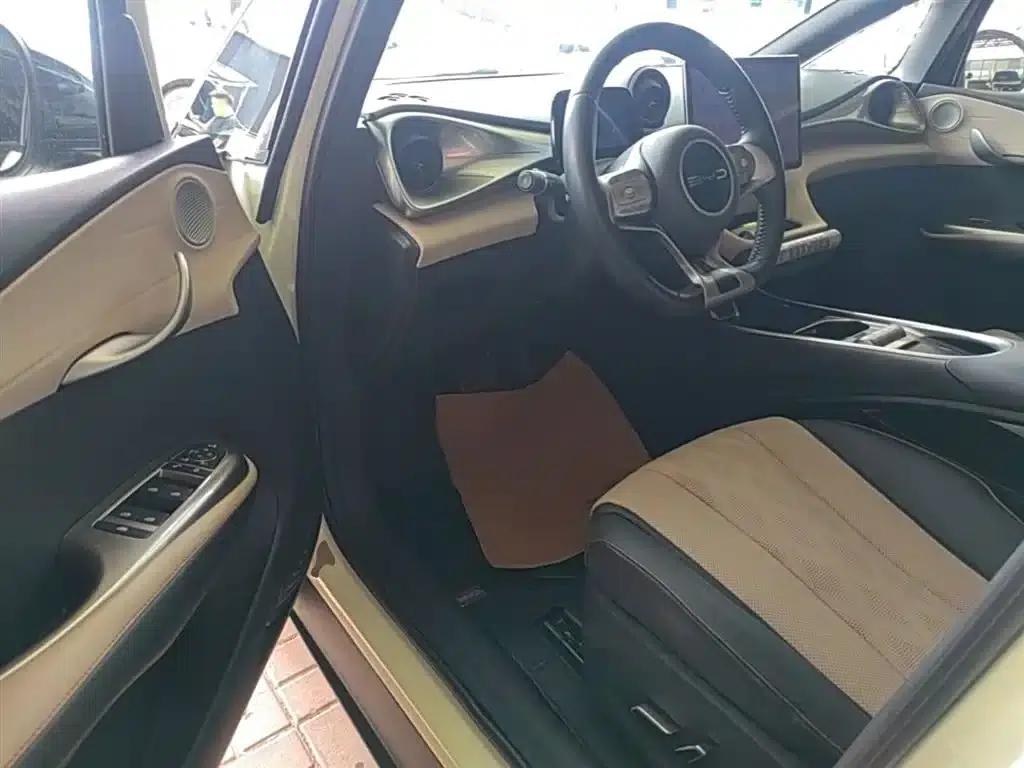 Dolphin 2023 420km Fashion Edition — миниатюра 16