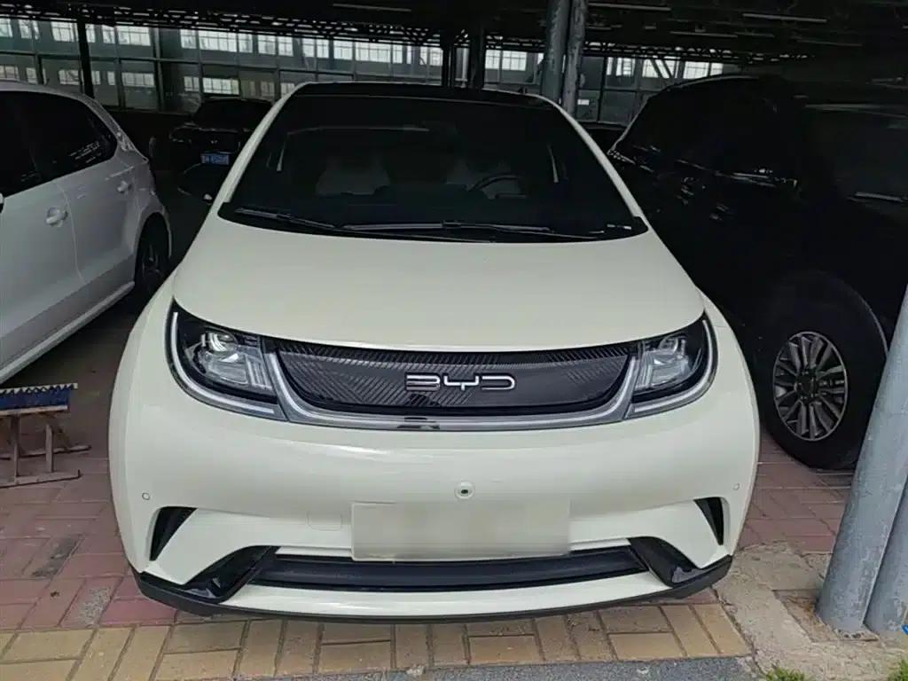 Dolphin 2023 420km Fashion Edition — миниатюра 3