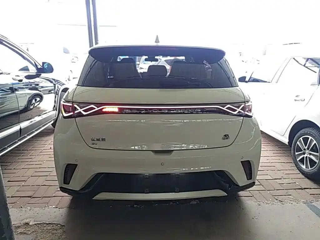 Dolphin 2023 420km Fashion Edition — миниатюра 6