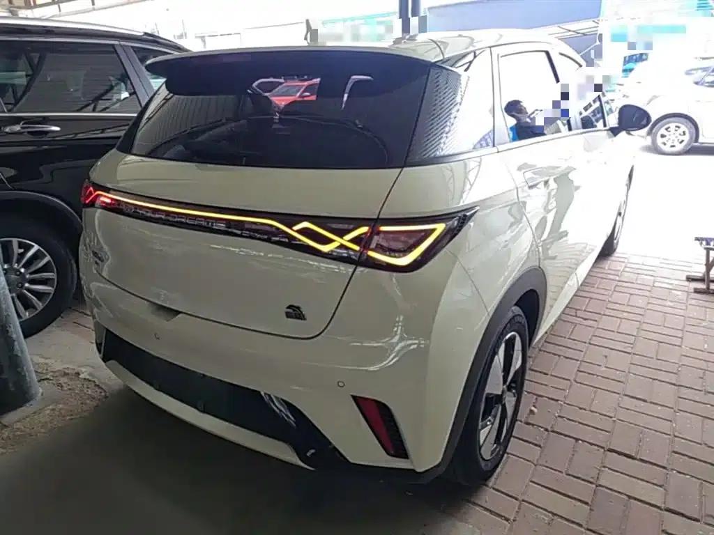 Dolphin 2023 420km Fashion Edition — миниатюра 7
