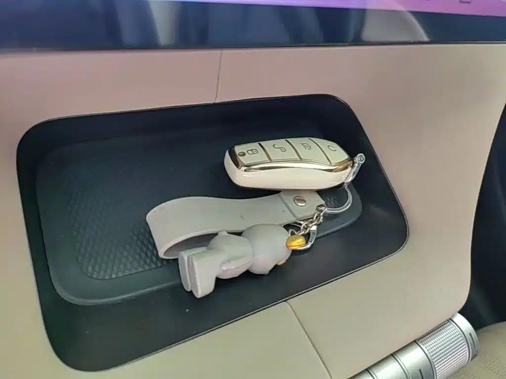 Dolphin 2023 420km Fashion Edition — миниатюра 9