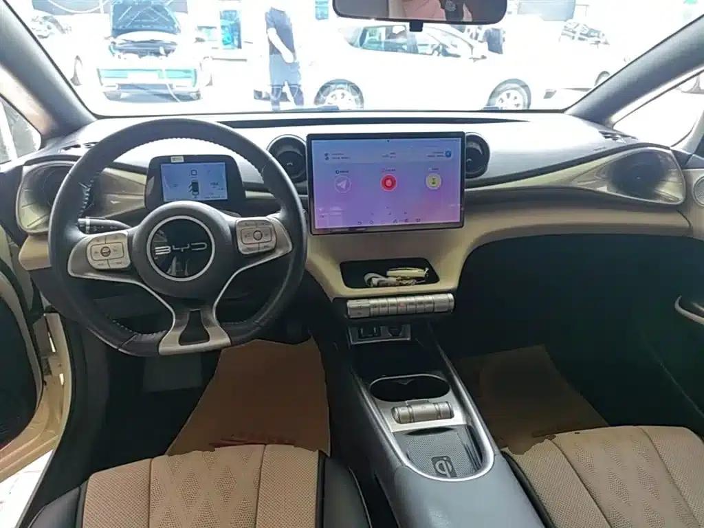 Dolphin 2023 420km Fashion Edition — миниатюра 10
