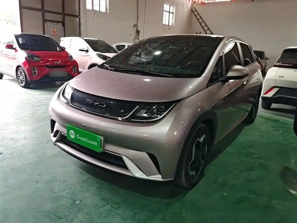 Dolphin 2021 405km Fashion Edition — миниатюра 2