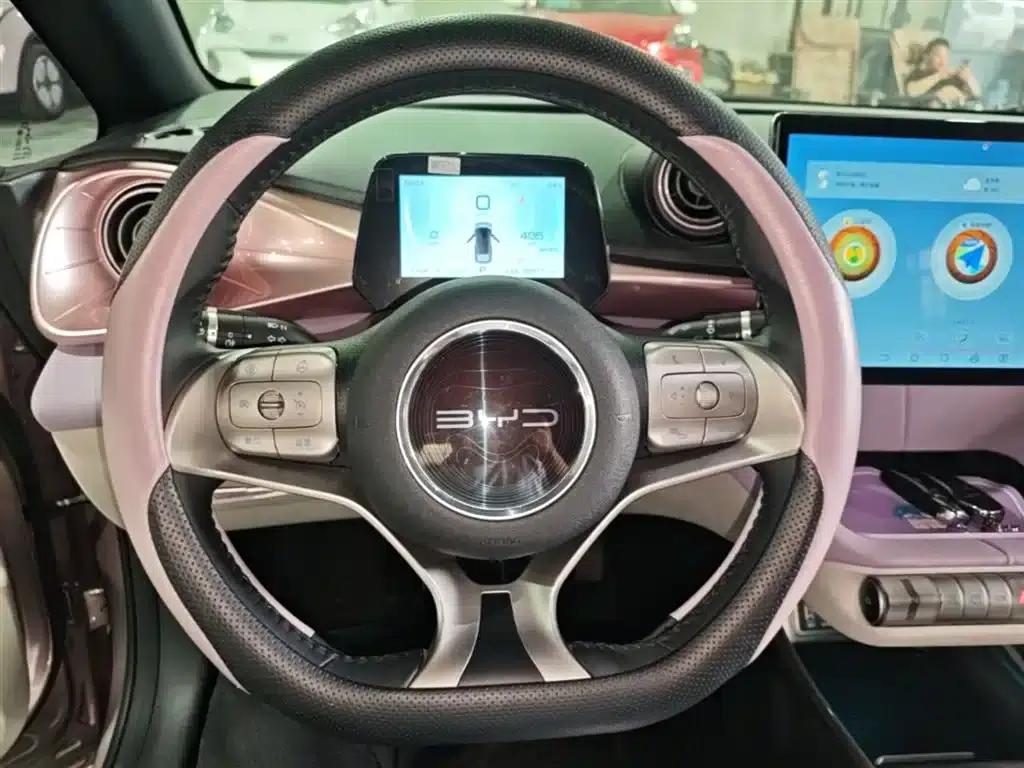 Dolphin 2021 405km Fashion Edition — миниатюра 11