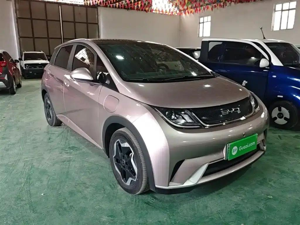 Dolphin 2021 405km Fashion Edition — миниатюра 4