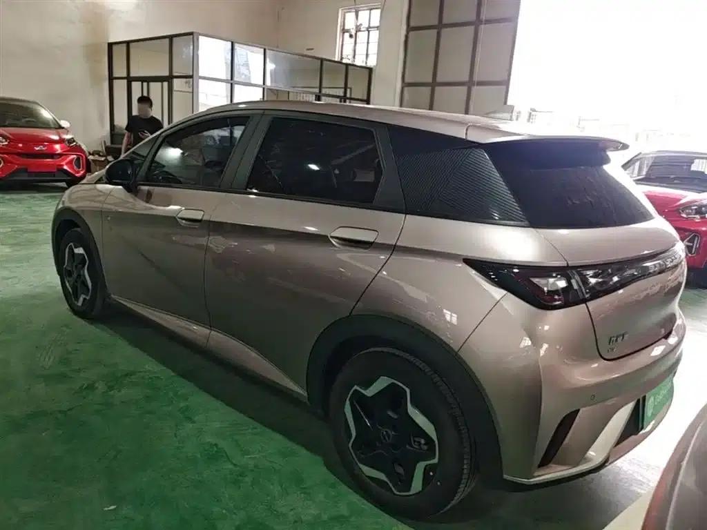 Dolphin 2021 405km Fashion Edition — миниатюра 5