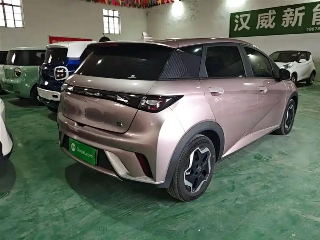 Dolphin 2021 405km Fashion Edition — миниатюра 7