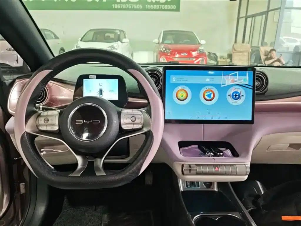 Dolphin 2021 405km Fashion Edition — миниатюра 10