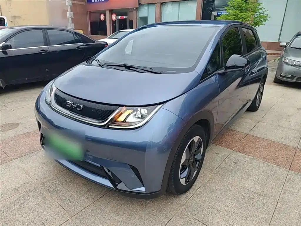 Dolphin 2024 Glory Edition 420km Freedom Edition — миниатюра 1