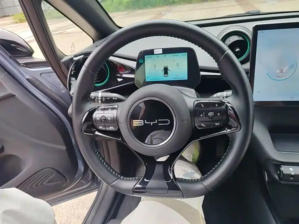 Dolphin 2024 Glory Edition 420km Freedom Edition — миниатюра 11