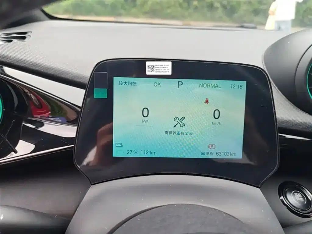 Dolphin 2024 Glory Edition 420km Freedom Edition — миниатюра 12