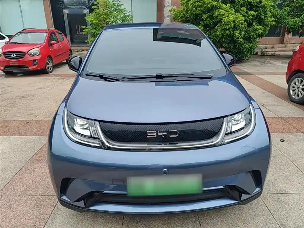 Dolphin 2024 Glory Edition 420km Freedom Edition — миниатюра 3