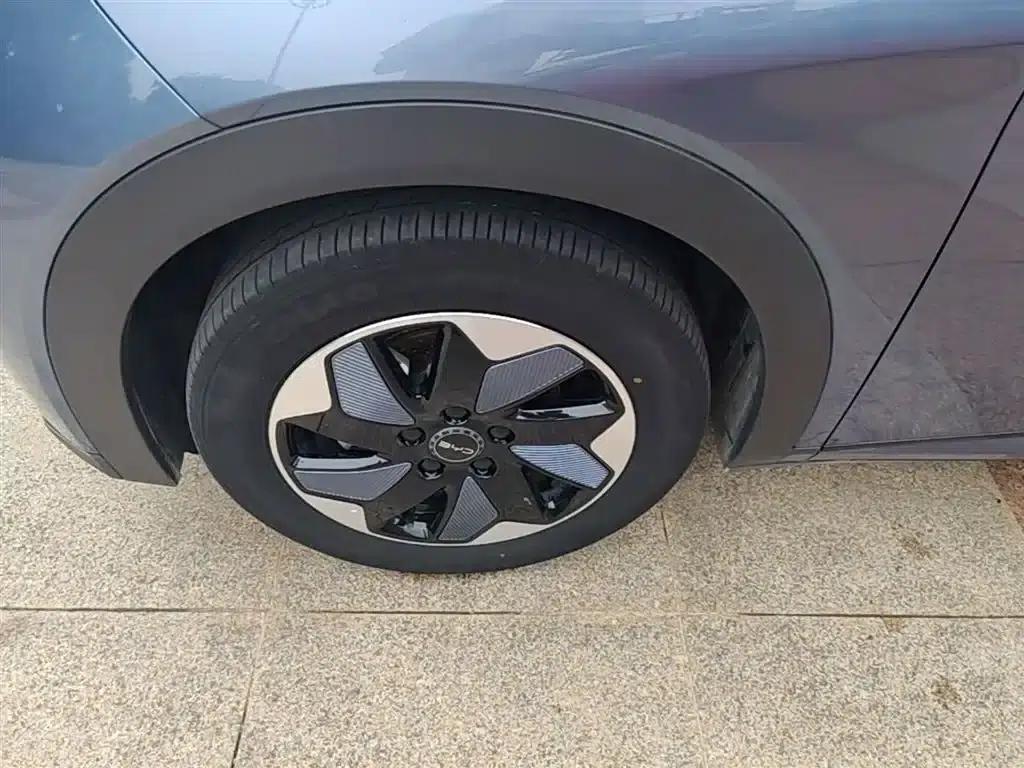 Dolphin 2024 Glory Edition 420km Freedom Edition — миниатюра 23