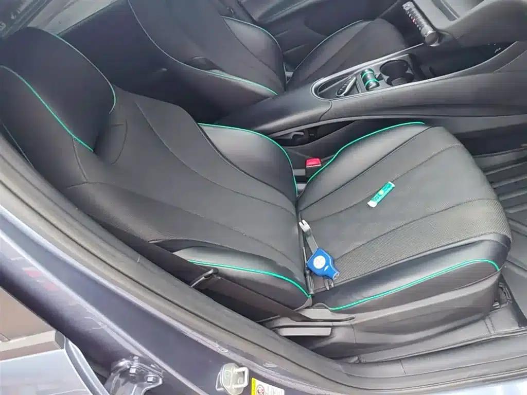 Dolphin 2024 Glory Edition 420km Freedom Edition — миниатюра 25