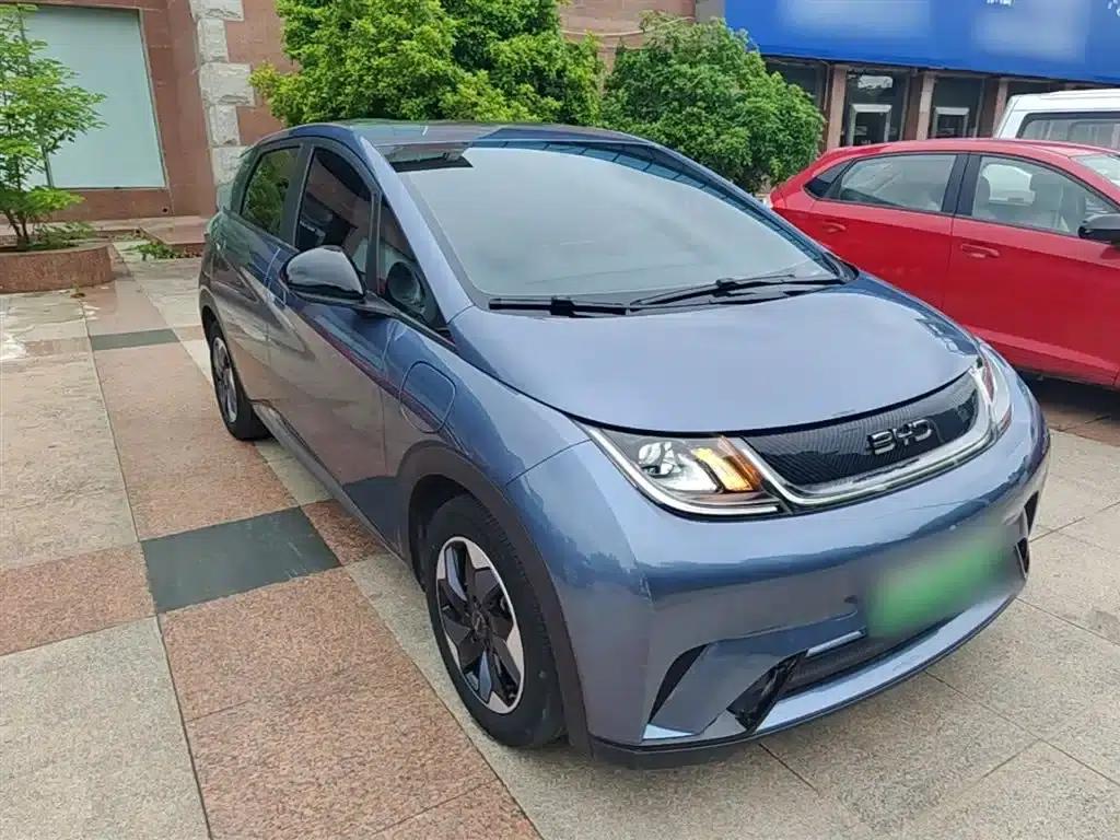 Dolphin 2024 Glory Edition 420km Freedom Edition — миниатюра 4