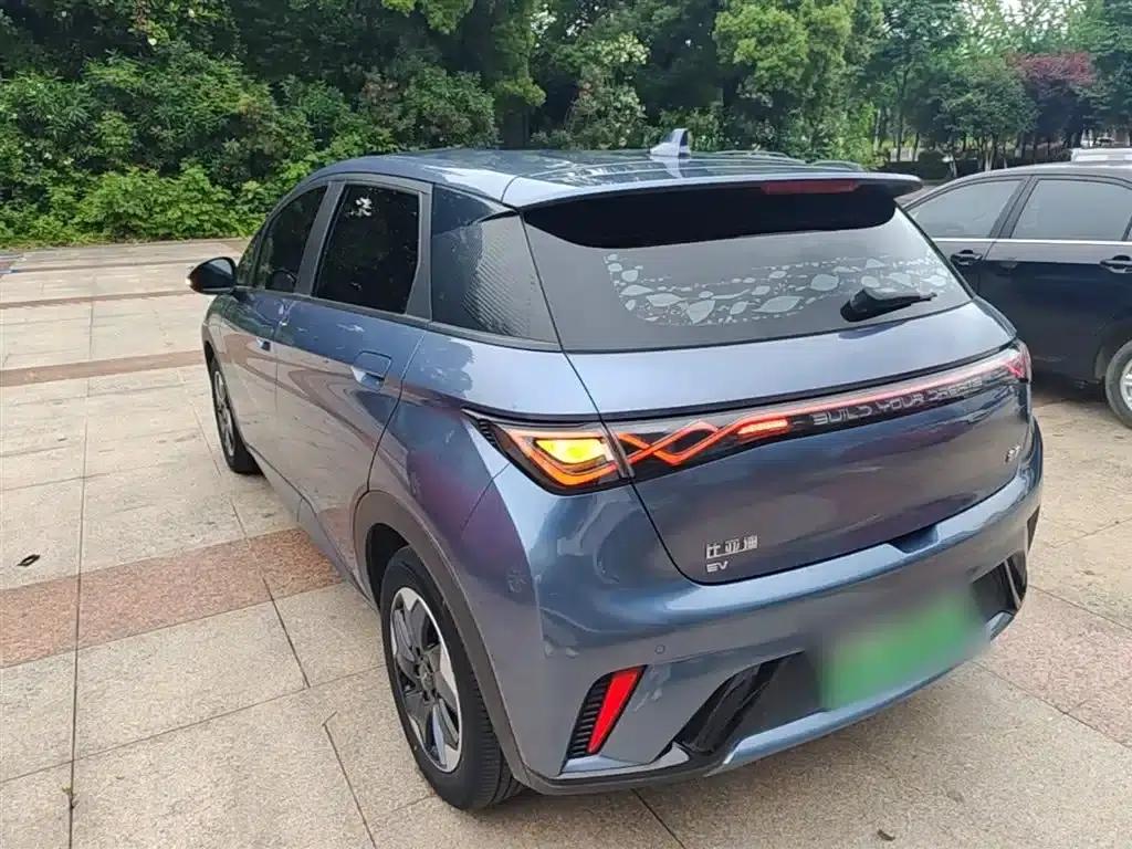 Dolphin 2024 Glory Edition 420km Freedom Edition — миниатюра 5