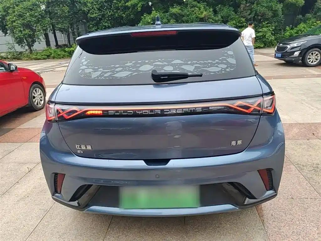 Dolphin 2024 Glory Edition 420km Freedom Edition — миниатюра 6