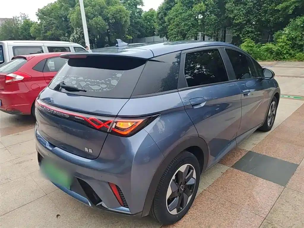 Dolphin 2024 Glory Edition 420km Freedom Edition — миниатюра 7