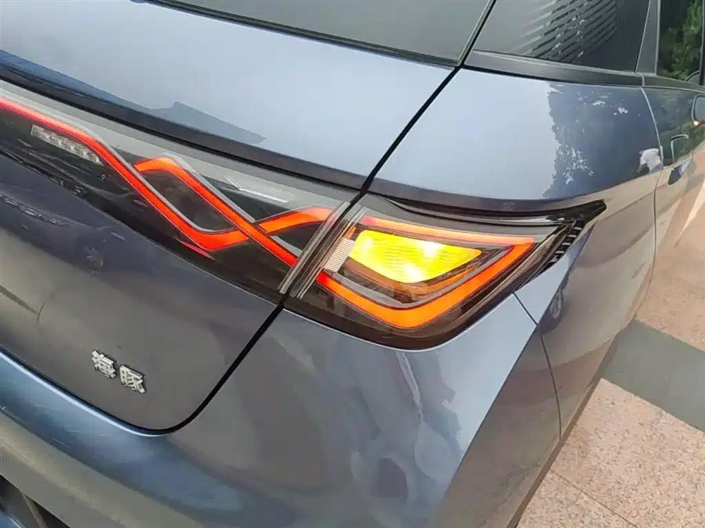 Dolphin 2024 Glory Edition 420km Freedom Edition — миниатюра 8