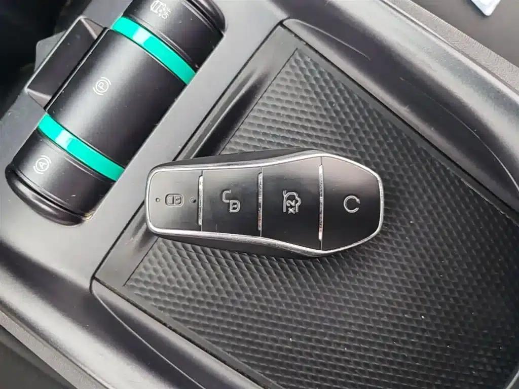 Dolphin 2024 Glory Edition 420km Freedom Edition — миниатюра 9