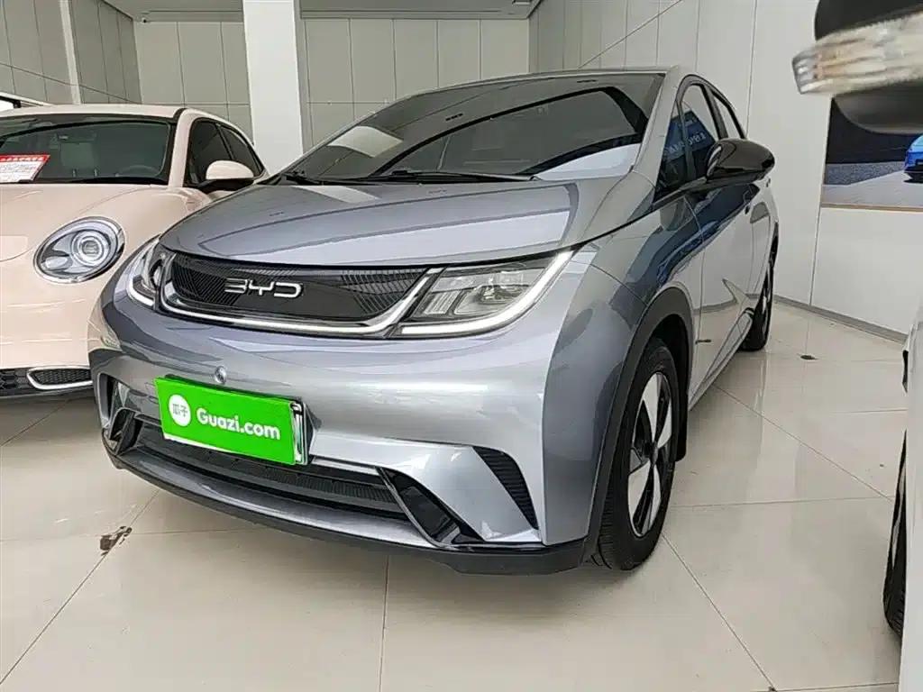 Dolphin 2023 420km Freedom Edition — миниатюра 1