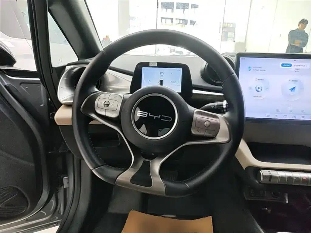 Dolphin 2023 420km Freedom Edition — миниатюра 11