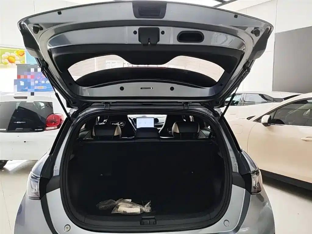 Dolphin 2023 420km Freedom Edition — миниатюра 19
