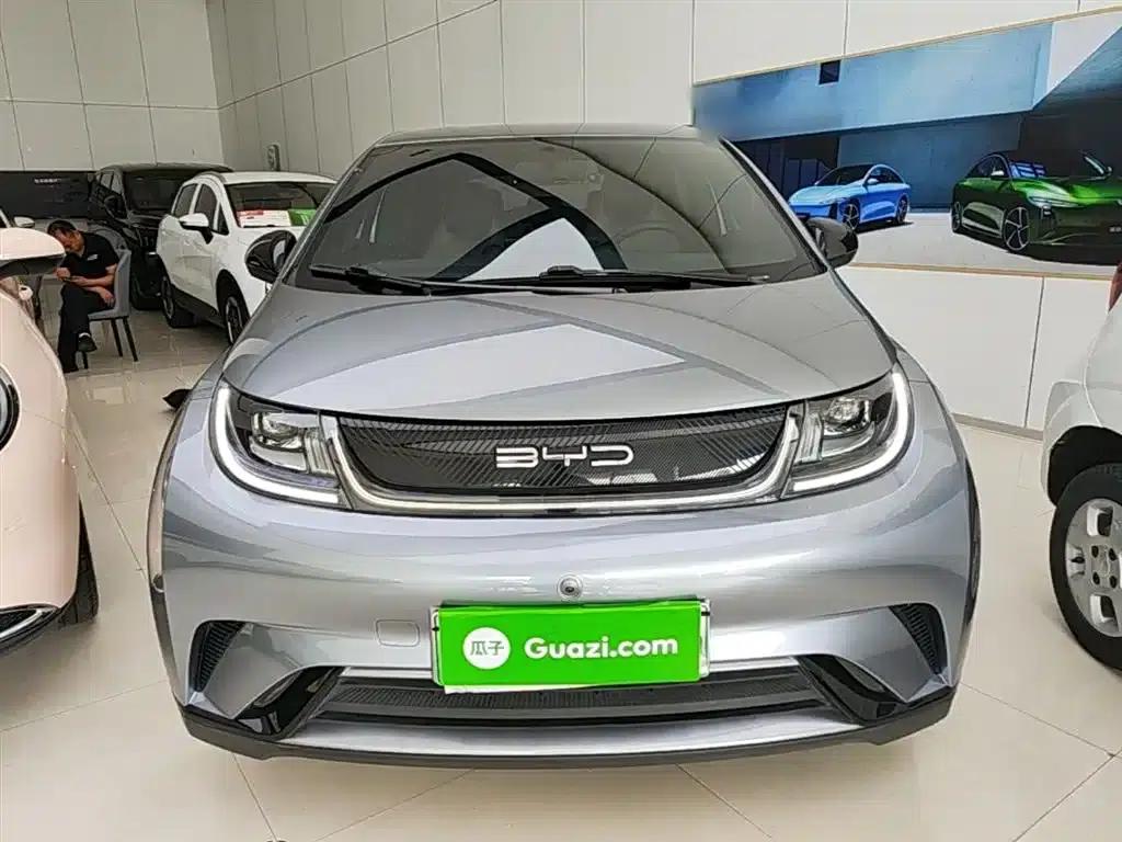 Dolphin 2023 420km Freedom Edition — миниатюра 3