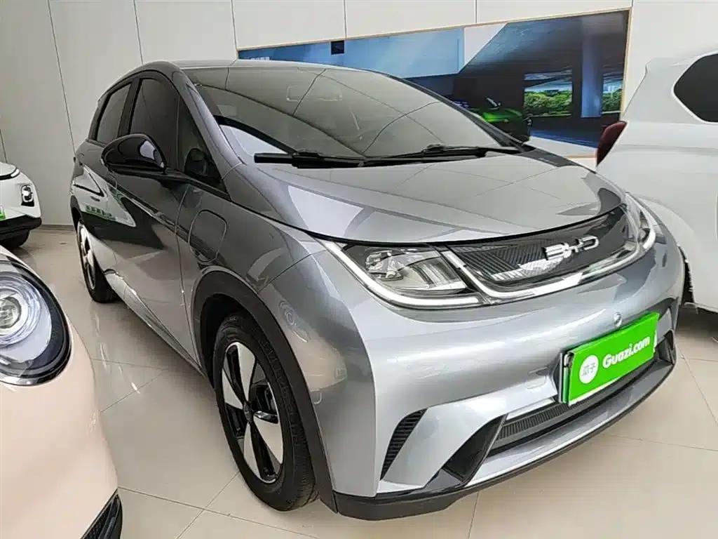 Dolphin 2023 420km Freedom Edition — миниатюра 4