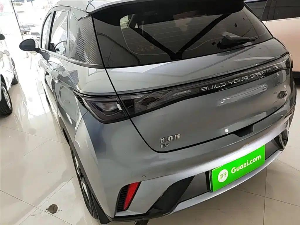 Dolphin 2023 420km Freedom Edition — миниатюра 5