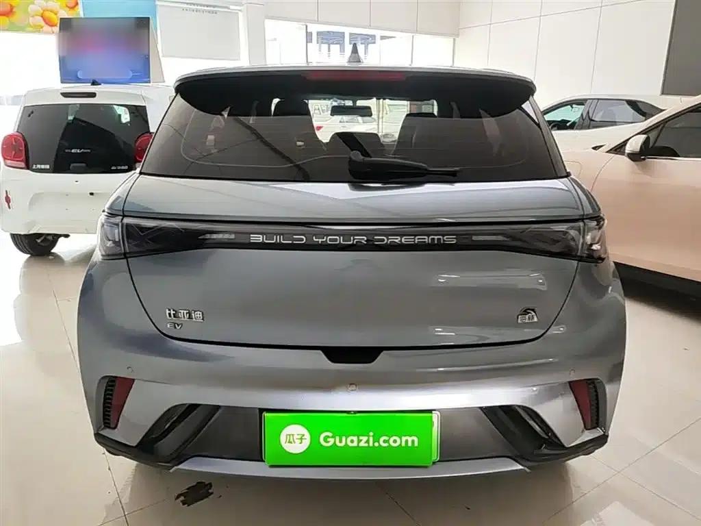 Dolphin 2023 420km Freedom Edition — миниатюра 6