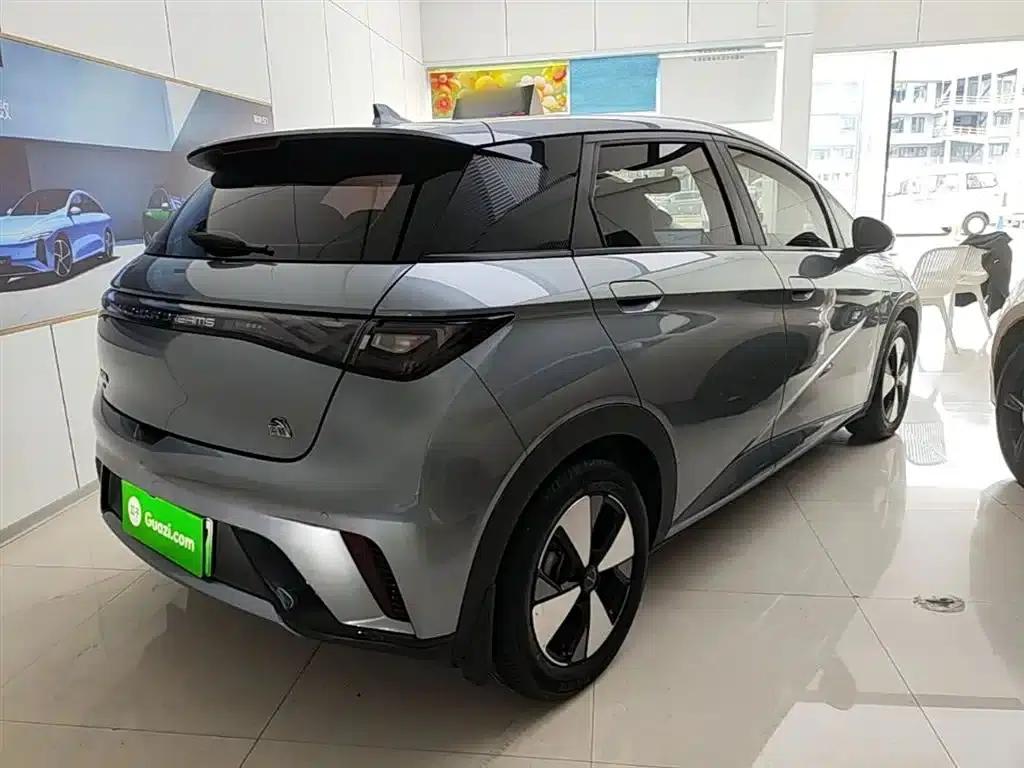 Dolphin 2023 420km Freedom Edition — миниатюра 7