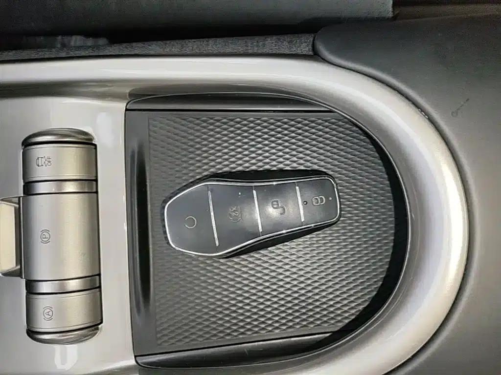 Dolphin 2023 420km Freedom Edition — миниатюра 9