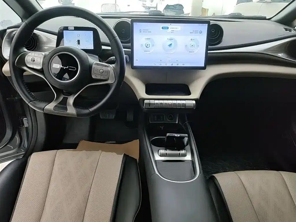 Dolphin 2023 420km Freedom Edition — миниатюра 10