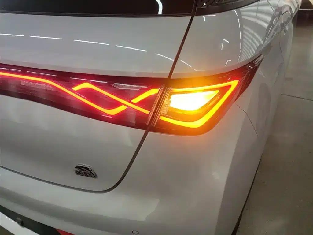 Dolphin 2021 405km Fashion Edition — миниатюра 8