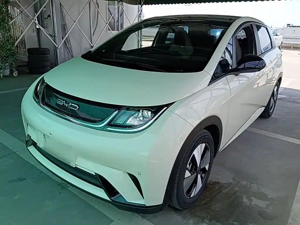 Dolphin 2023 420km Fashion Edition — миниатюра 1