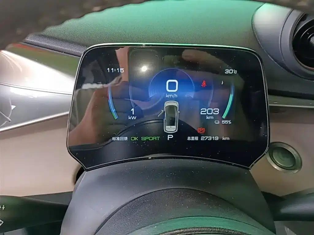 Dolphin 2023 420km Fashion Edition — миниатюра 12