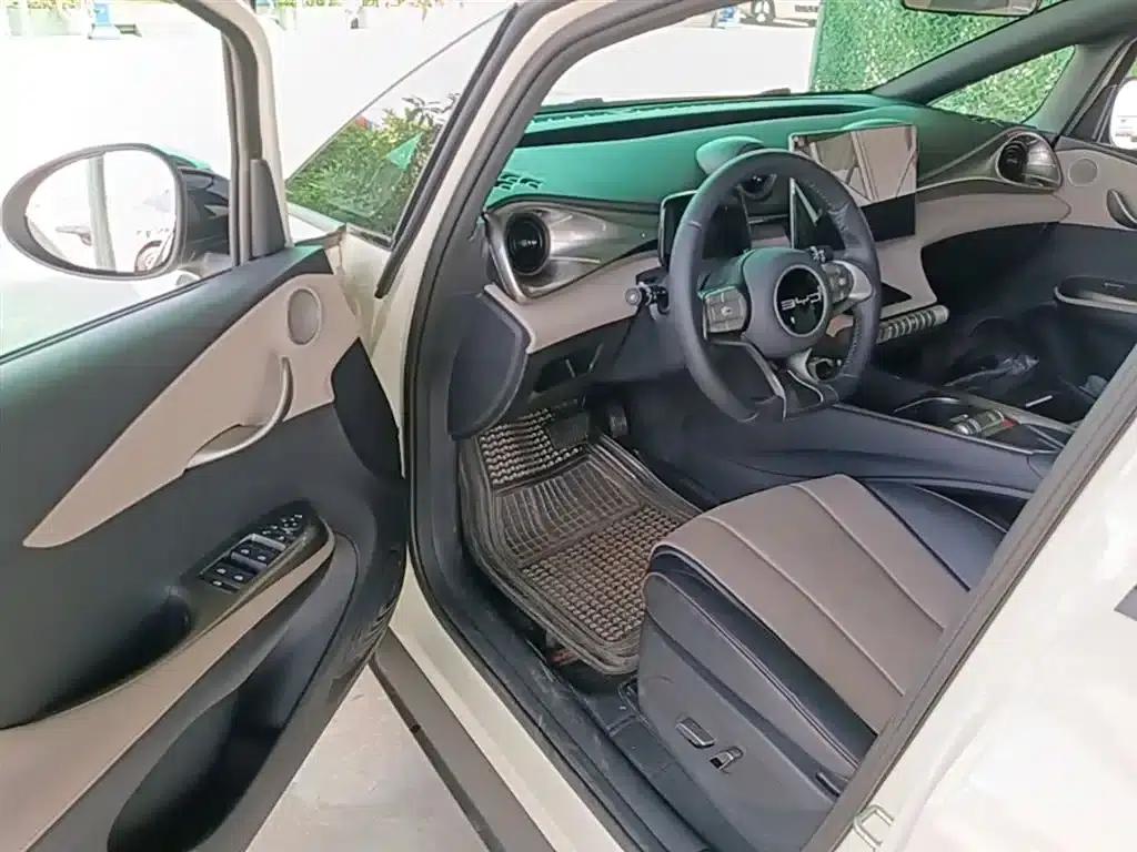 Dolphin 2023 420km Fashion Edition — миниатюра 16