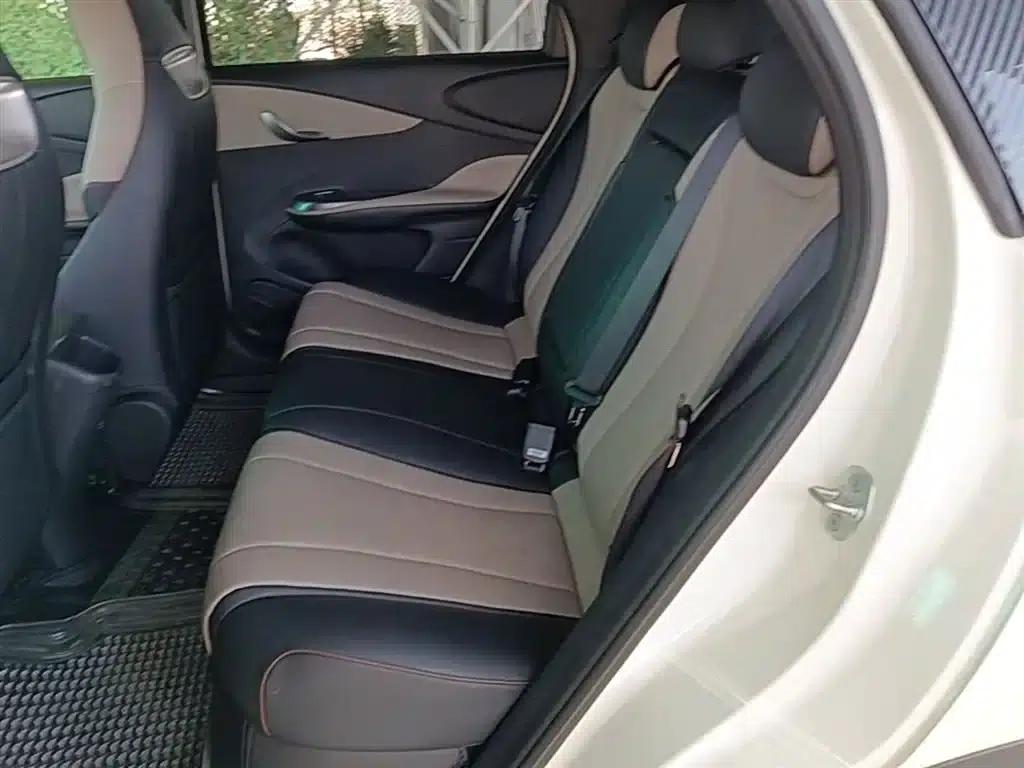 Dolphin 2023 420km Fashion Edition — миниатюра 17
